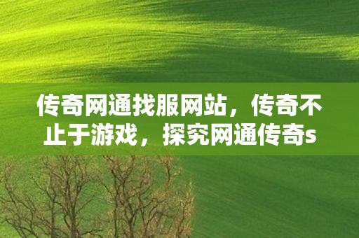 探究网通传奇sf的世界与魅力图片