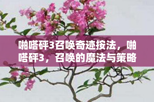 召唤的魔法与策略深度解析图片