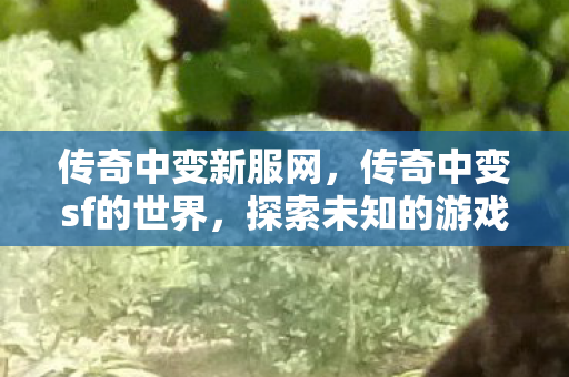 探索未知的游戏冒险之旅图片