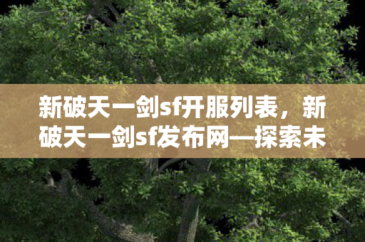 新破天一剑sf开服列表图片