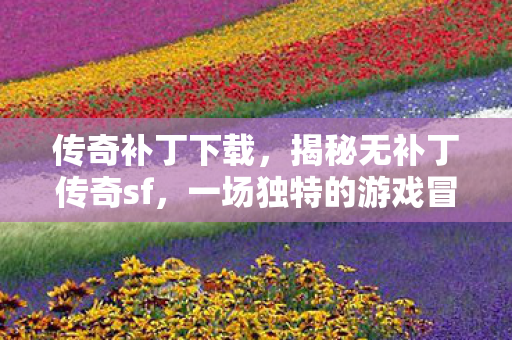 一场独特的游戏冒险之旅图片