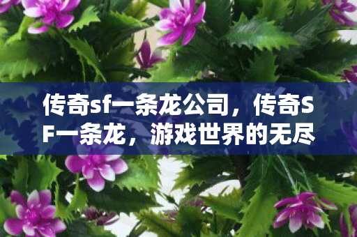 游戏世界的无尽魅力与探索图片