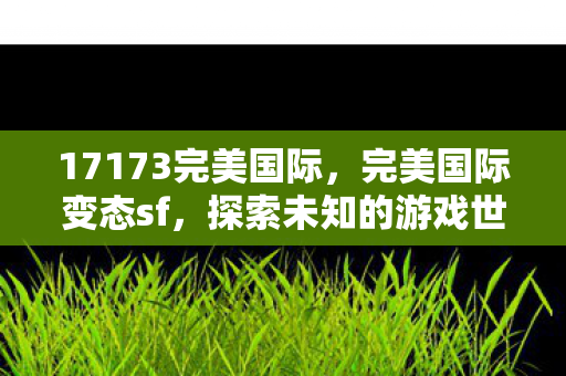 17173完美国际图片