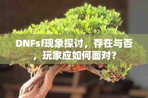 DNFsf现象探讨图片