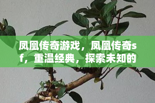 探索未知的游戏世界图片