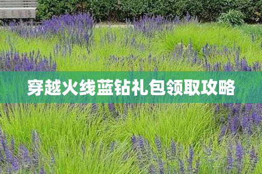 穿越火线蓝钻礼包领取攻略图片
