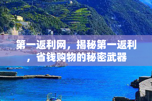 省钱购物的秘密武器图片