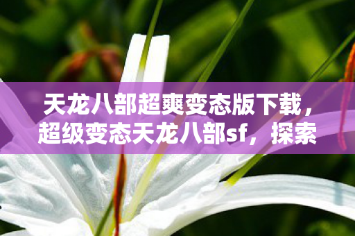 探索独特游戏世界与玩家体验图片