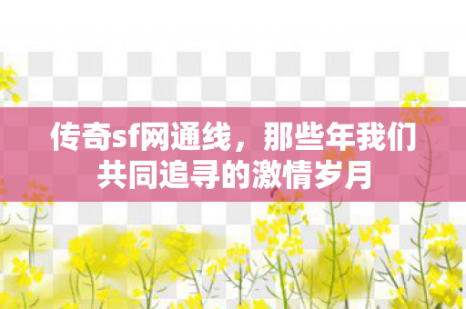 那些年我们共同追寻的激情岁月图片