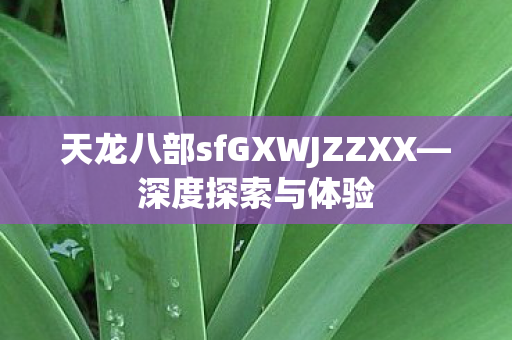 天龙八部sfGXWJZZXX图片