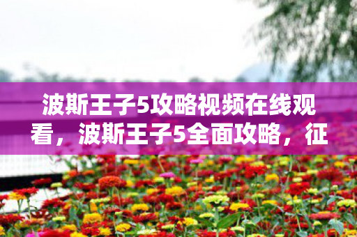 波斯王子5攻略视频在线观看图片