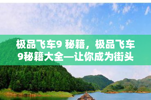 极品飞车9秘籍大全图片