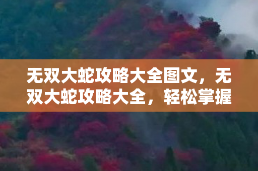 无双大蛇攻略大全图文图片