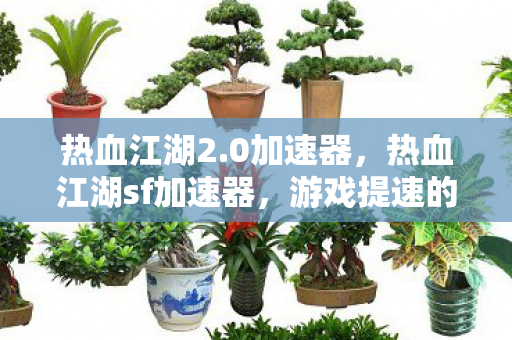 游戏提速的秘诀与注意事项图片