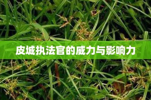 皮城执法官的威力与影响力图片