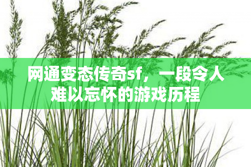 一段令人难以忘怀的游戏历程图片