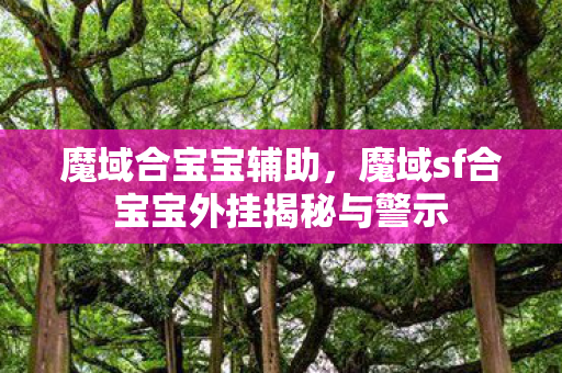魔域sf合宝宝外挂揭秘与警示图片