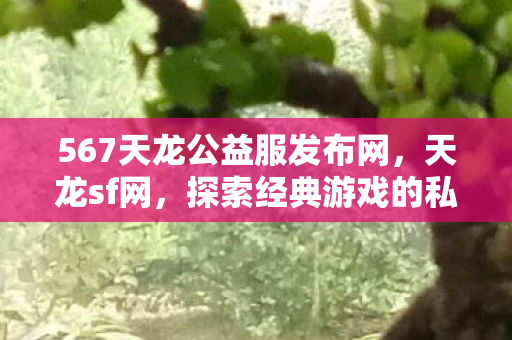 567天龙公益服发布网图片
