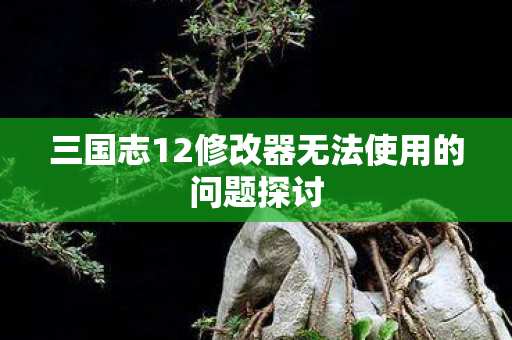 三国志12修改器无法使用的问题探讨图片