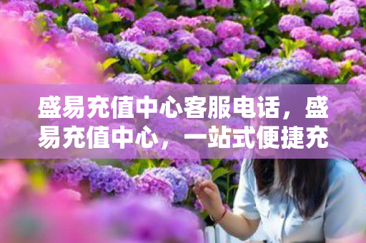一站式便捷充值解决方案图片