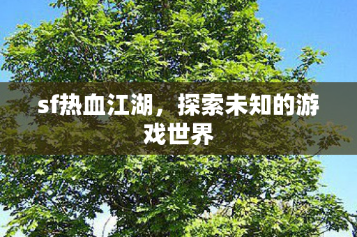 探索未知的游戏世界图片