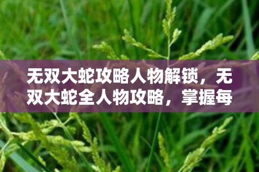 掌握每个角色的独特技能与战术图片