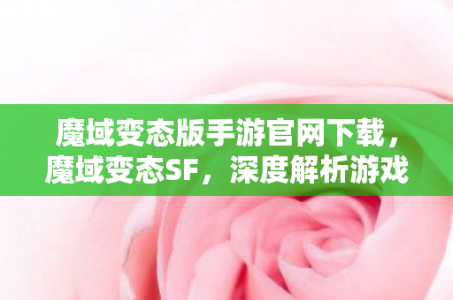 深度解析游戏背后的秘密与挑战图片