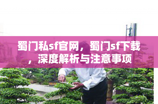 深度解析与注意事项图片