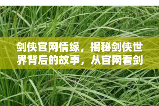 从官网看剑侠情缘的辉煌历程图片