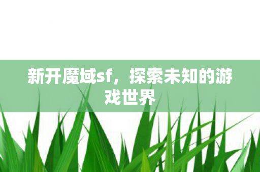 探索未知的游戏世界图片