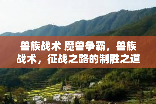 兽族战术 魔兽争霸图片