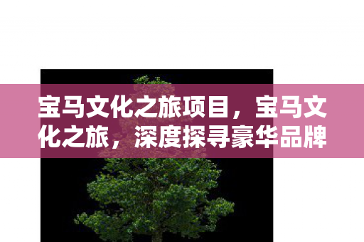 深度探寻豪华品牌的诞生与发展图片