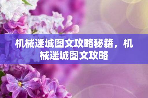 机械迷城图文攻略秘籍图片