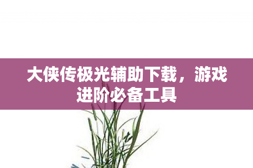 大侠传极光辅助下载图片