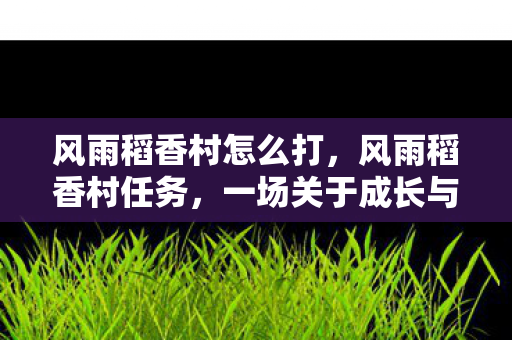 一场关于成长与坚持的旅程图片
