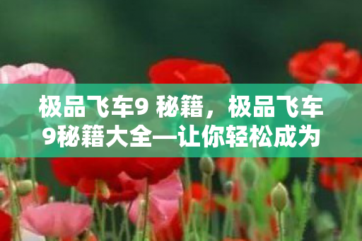 让你轻松成为赛道霸主图片