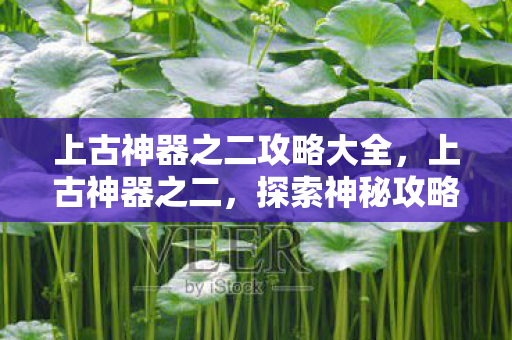 上古神器之二攻略大全图片