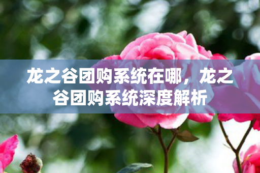 龙之谷团购系统深度解析图片