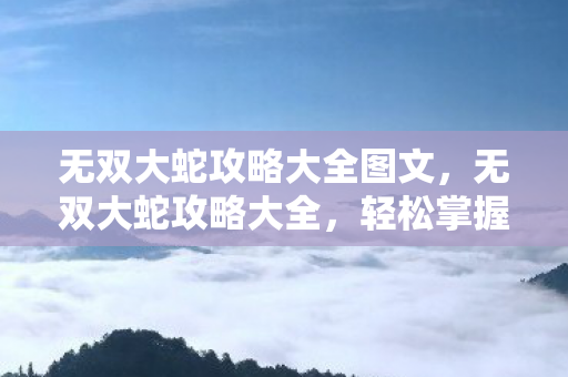 无双大蛇攻略大全图文图片