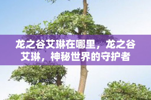 龙之谷艾琳在哪里图片