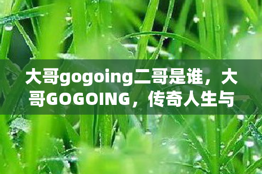 大哥gogoing二哥是谁图片
