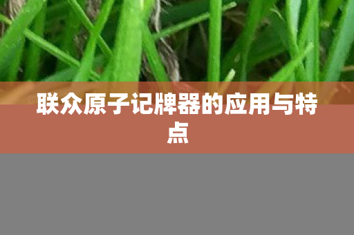 联众原子记牌器的应用与特点图片