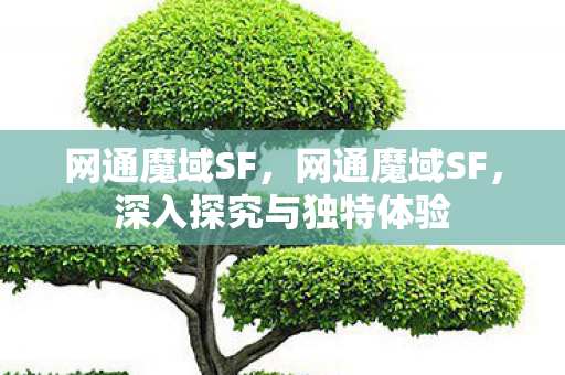 深入探究与独特体验图片