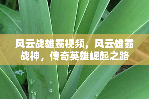 传奇英雄崛起之路图片