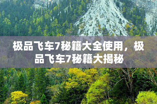 极品飞车7秘籍大全使用图片