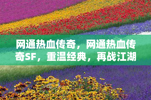 网通热血传奇SF图片