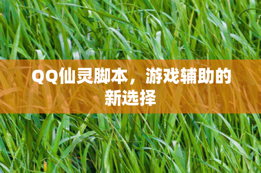游戏辅助的新选择图片
