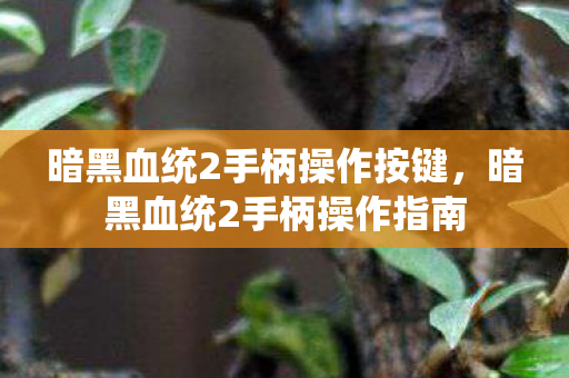 暗黑血统2手柄操作按键图片