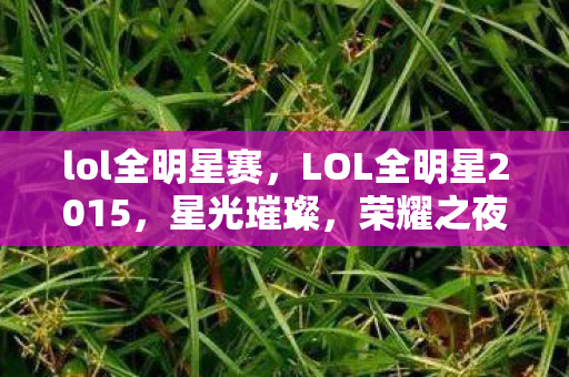 LOL全明星2015图片
