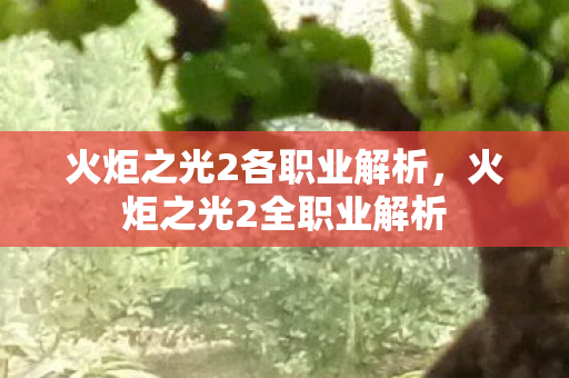 火炬之光2各职业解析图片